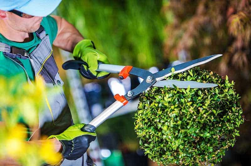 11landscaping lawn care services