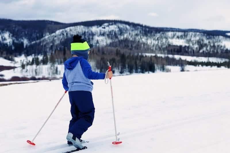 picture of cross country skiing